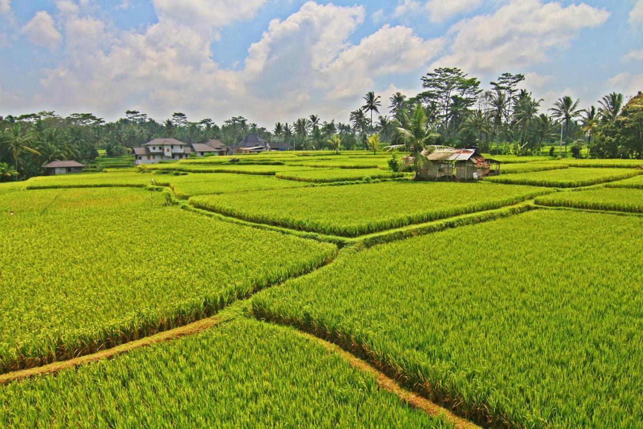 Greenfield Luxury Villas Ubud Exterior foto